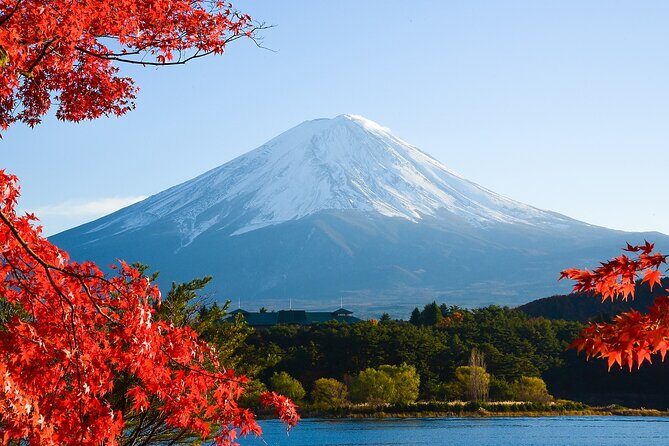 From Tokyo: Mount Fuji Sightseeing Full Day Trip - Exploring the Itinerary: What You Can Expect