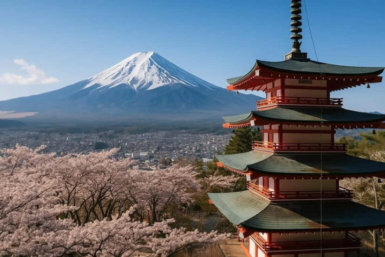 From Tokyo: Mount Fuji's Highlights Private Day Tour - What Does the Price Cover—and Is It Good Value?