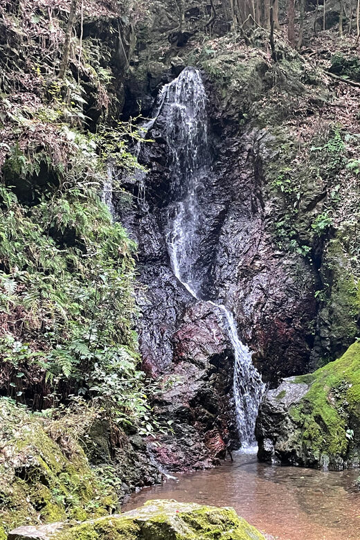 From Tokyo: Mountain Ridge Hike & Scenic Waterfall Day Tour - A Detailed Breakdown of the Itinerary