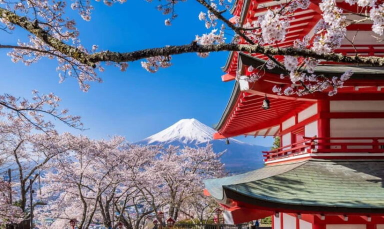 From Tokyo: Mt. Fuji Five Lakes Private Tour with Guide - Who Would Love This Tour?