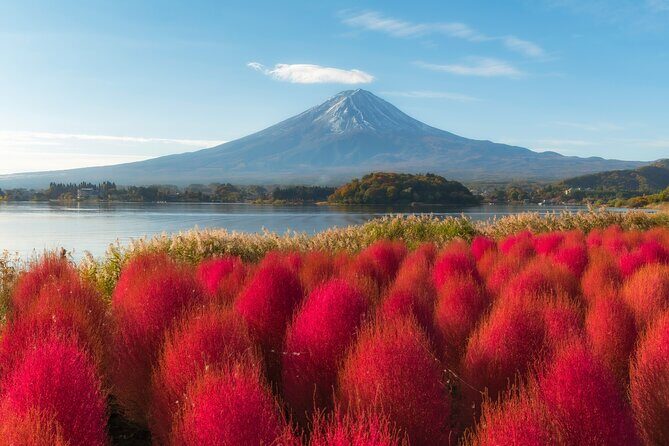 From Tokyo Mt.Fuji, Lake Kawaguchi, Makaino Farm day tour - Authentic Moments and Real Traveler Experiences