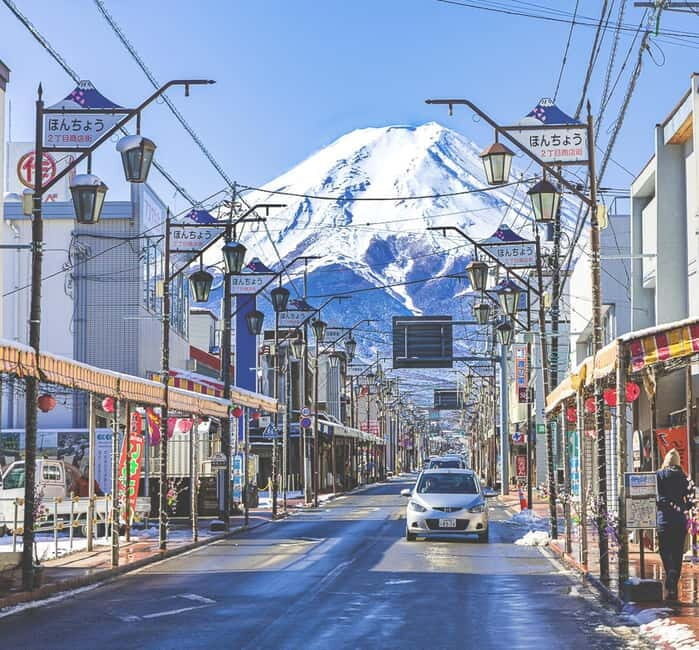 From Tokyo: Must-Visit Mount Fuji Highlight Full-Day Tour - Who Is This Tour Best Suited For?