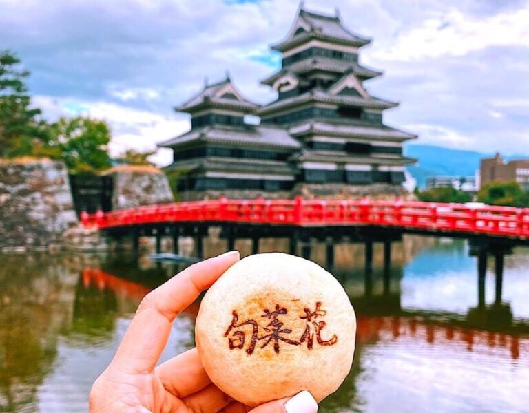 From Tokyo/Nagano : Private Snow Monkeys Park Full Day Trip - Final Thoughts: Who Will Love This Tour?
