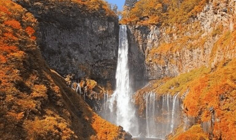 From Tokyo: Nikko private Customize Tour With English Driver - Who Is This Tour Best For?