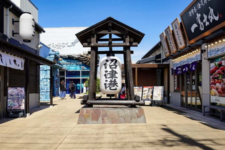 From Tokyo: Numazu Port and Gotemba Outlets Day Tour - Returning to Tokyo: Wrapping Up the Day