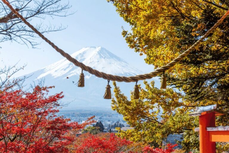 From Tokyo: Private Day Trip to Mount Fuji & Fuji Five lakes - Introduction: Why Consider This Tour?