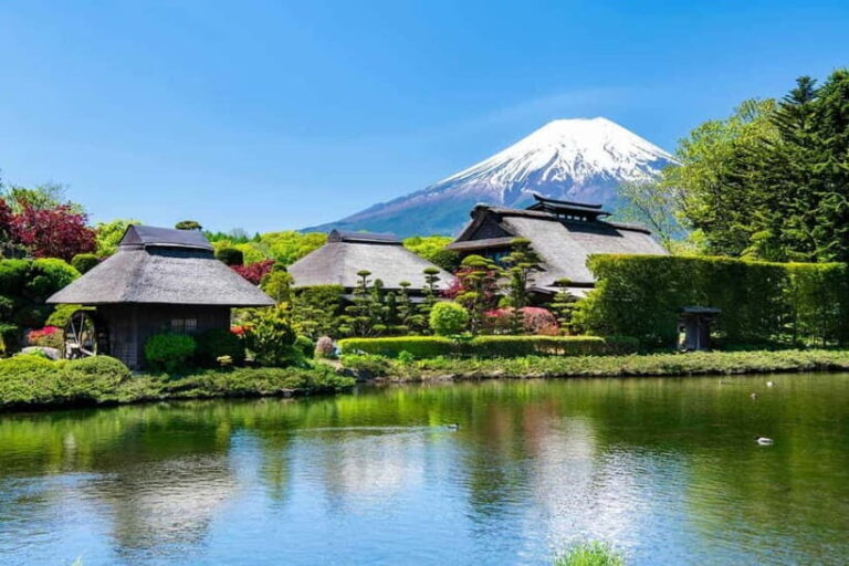 From Tokyo: Private Mount Fuji Day Trip by Car - What You’ll Love About This Tour
