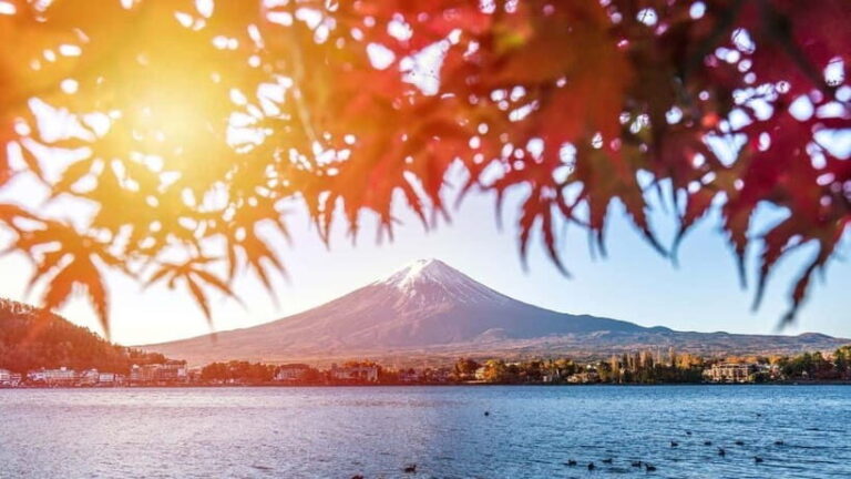 From Tokyo: Private Mt. Fuji and Hakone Tour by Car - Starting Point and Overall Experience