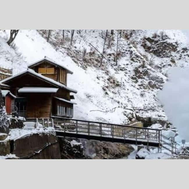 From Tokyo: Snow Monkey Park and Miso Production Day Tour - Why This Tour Works Well