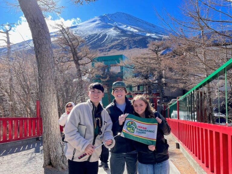 From Tokyo to Mount Fuji: Full-Day Tour and Hakone Cruise - Why This Tour Works Well