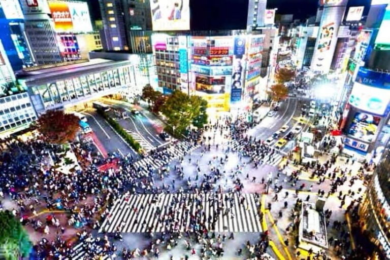From Tokyo: Tokyo Private Customize Tour With English Driver - Who Is This Tour Best For?
