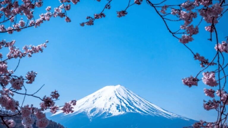From Tokyo:Mount Fuji Private Customizable Tour With English - What Makes This Tour Stand Out?