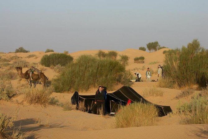 From Tozeur: 3-Day Desert Trip