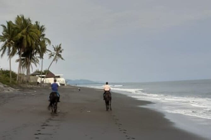 From Ubud 1 Hour Horse Riding at The Beach Experiences - What the Reviews Say