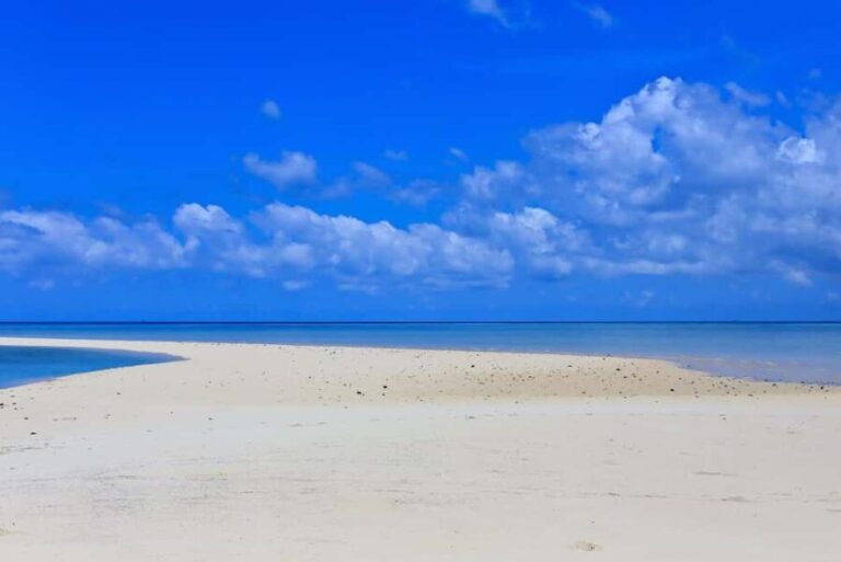 From Utende: Marimbani Sandbank Snorkeling Trip with BBQ - Snorkeling in Vibrant Reefs