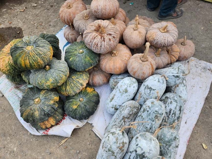 From Vientiane: Plain of Jars Tour & Homestay - Exploring the Itinerary in Detail