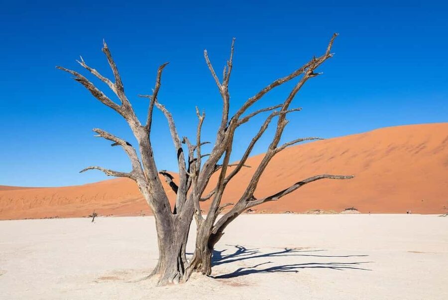 From Windhoek: Budget Sossusvlei Guided 2-Day Tour - Final Thoughts: Is It Worth It?
