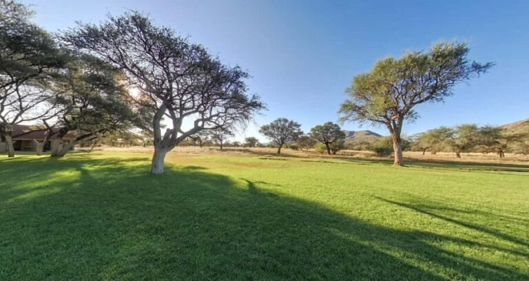 From Windhoek: Okapuka Safari Lodge Day Trip - The Realities: From Flawless to Flawed