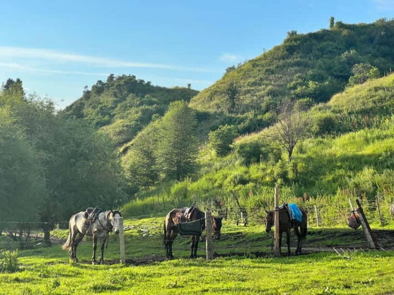 From Yining: Wusun Ancient Trail and Silk Road 7-Day Trek - What’s Included and What’s Not