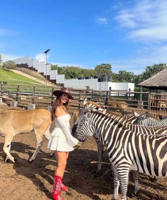 From Zanzibar Animal Feeding & Dar Es Salaam City Tour 2Days - An In-Depth Look at the Itinerary