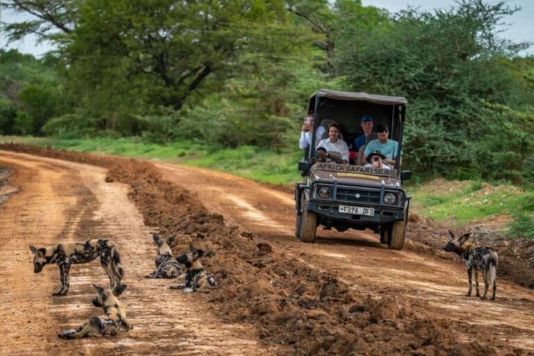 From Zanzibar: Mikumi Day Trip Safari By Flight. - Guided Game Drive - Wildlife Encounters