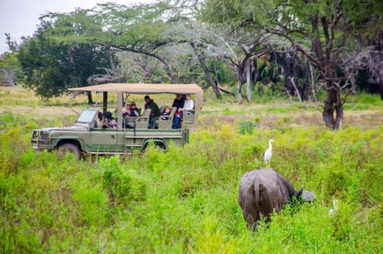 From Zanzibar: Mikumi National Park Guided Safari - FAQ