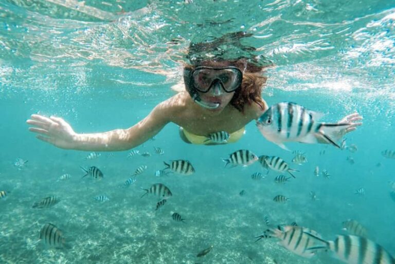 From Zanzibar: Mnemba Boat Tour with Snorkeling & Dolphine - Who Will Love This Tour?