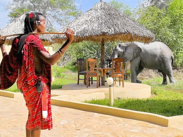 From Zanzibar: Overnight Selous G.R. Safari with Flights - What Do Travelers Say?
