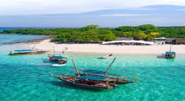 From Zanzibar: Safari Blue Snorkeling Trip with Lunch - What to Expect at Each Stop