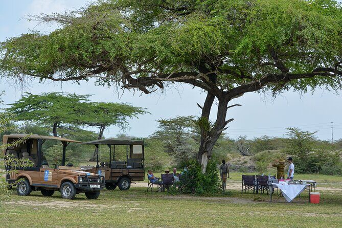 From Zanzibar: Selous Game Reserve Day Safari with Flights - How This Tour Balances Cost and Value
