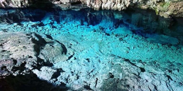 From Zanzibar: Starfish, Blue Lagoon, & The Rock Restaurant - What to Expect at Each Stop