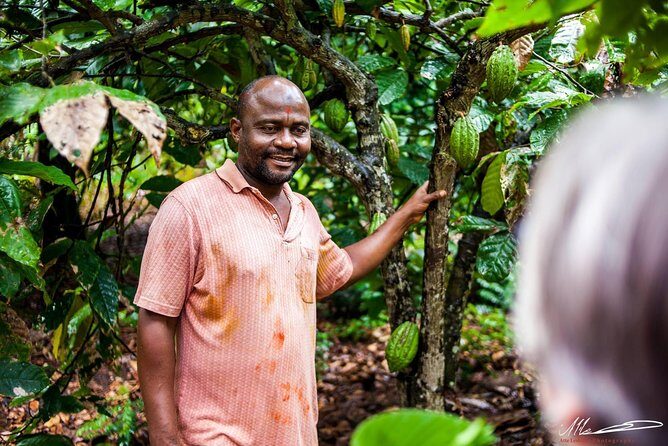 Fruits & Spices Adventure - Detailed Breakdown of the Tour Itinerary