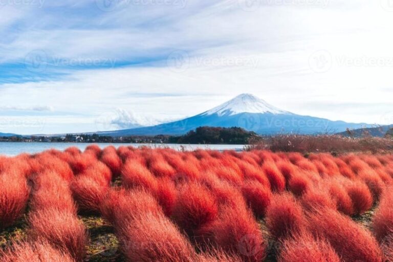 Fuji/Hakone Private Tour, English speaking guide, Photograph - The Practicalities: What Travelers Need to Know