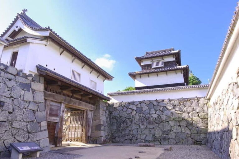 Fukuoka: Fukuoka Castle and Ohori Park Guided Tour - Discovering Ohori Park’s Charm
