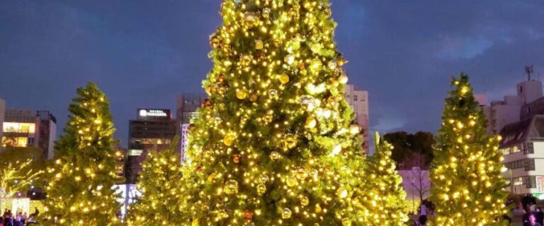 Fukuoka: Hakata & Tenjin Christmas Markets Walking Tour - What’s Included and What to Prepare For