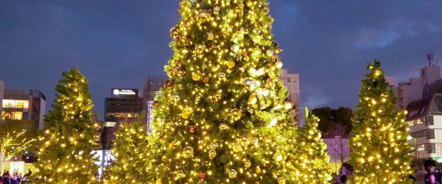 Fukuoka: Hakata & Tenjin Christmas Markets Walking Tour - What’s Included and What to Prepare For