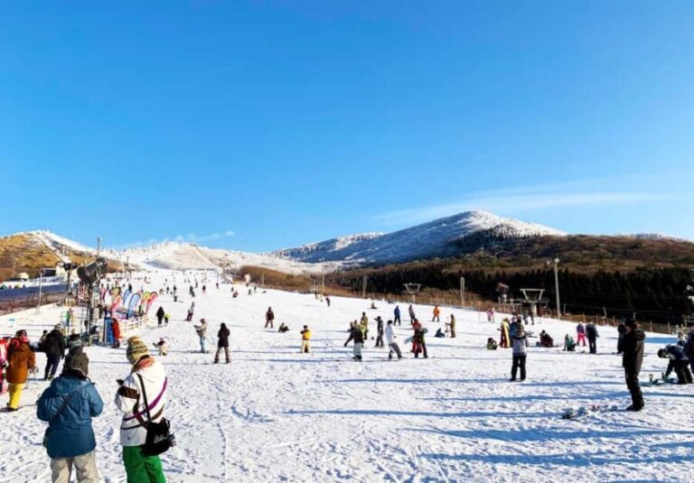 Fukuoka: Kuju Forest Park Skiing Grounds Day Tour opt Lesson - An In-Depth Look at the Fukuoka Kuju Forest Park Ski Grounds Tour