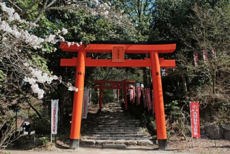 Fukuoka: Round-Trip Dazaifu Shrine Tour from Hakata - Who Is This Tour Best For?