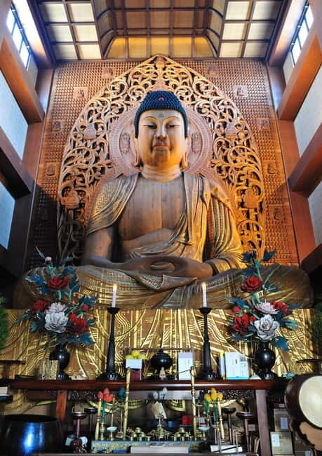 Fukuokas Sacred Path: Temples, History & Culture - What Travelers Say