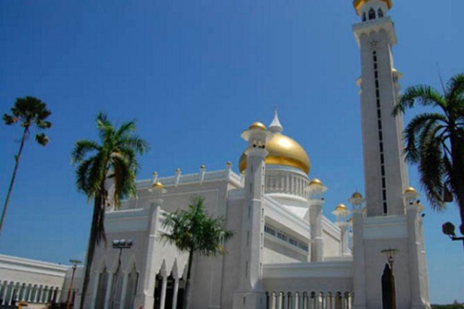 Full Brunei Experience - City Excursion - Water Village and Mangrove Safari - An In-Depth Look at the Full Brunei Experience Tour
