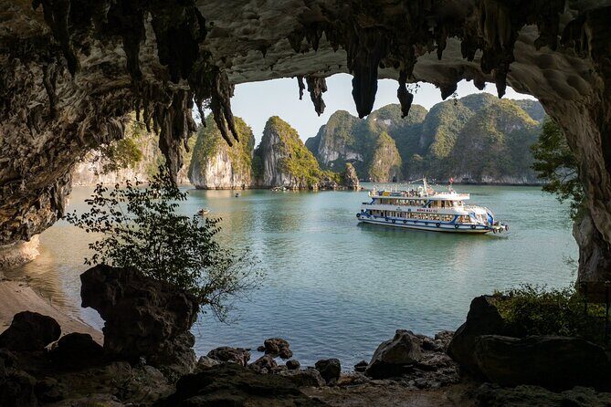 Full-day Activity Ha Long Bay of Vietnam from Ninh Binh - Authentic Experiences and Traveler Feedback