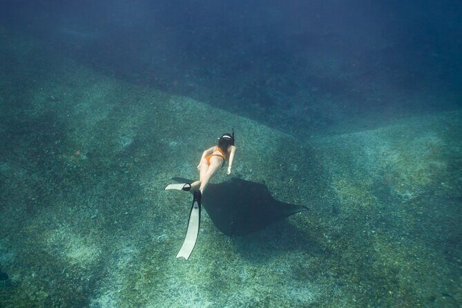 Full-Day Adventure Tour to komodo Island with join Speed Boat tur - Final Thoughts: Is This Tour for You?