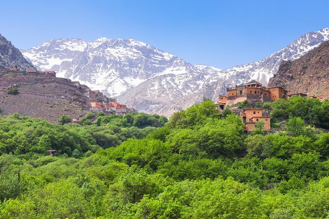 Full-day Agafay Desert and Atlas Mountain Tour - What Makes This Tour Stand Out?