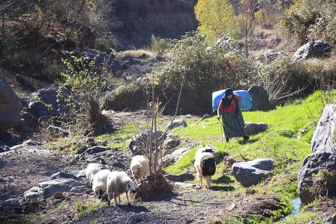 Full-Day Atlas Mountains & Imlil Valley Adventure from Marrakech - Who Will Love This Tour?