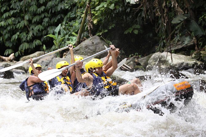 Full-Day Ayung River White Water Rafting and Ubud Tour - The Sum Up