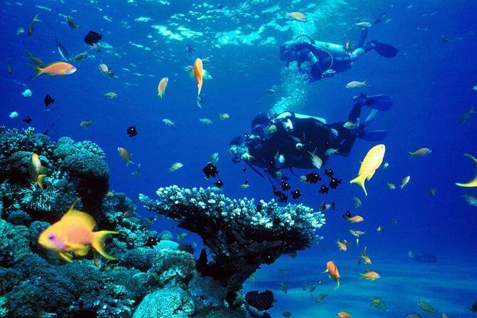 Full-Day Beginner Scuba Course with Private Tuition, Racha Yai - Who Is This Tour Best Suited For?