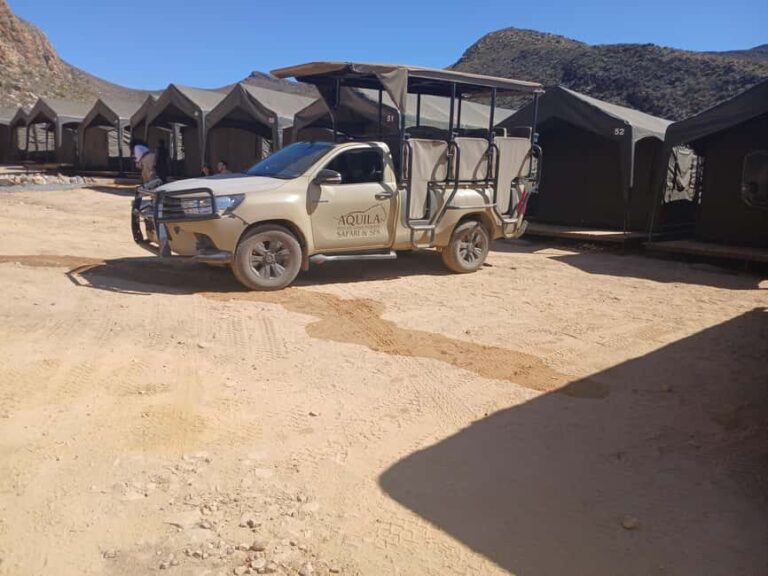 Full day big five safari tour from Cape Town with transfers - The Practicalities: Group Size, Timing, and Suitability