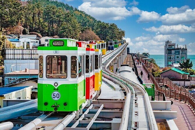 Full-Day Busan Highlights Private Guided Tour - Why This Tour Offers Good Value