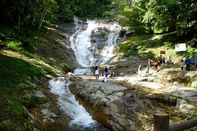 Full-day Cameron Highlands Day Trip from Kuala Lumpur - Practical Insights and Value