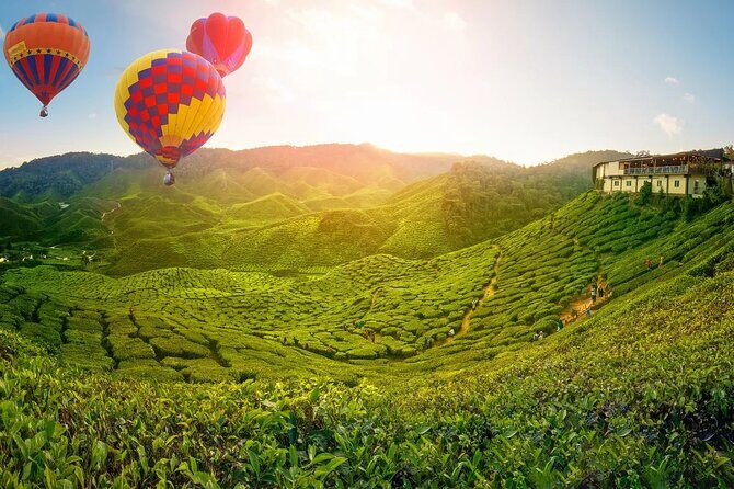 Full Day Cameron Highlands Nature Tour with Hobbitoon Village - Analyzing the Value